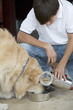A young boy feeding his dog
