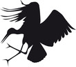 heron