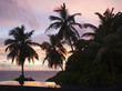 Photo: Swimming pool of the Banyan Tree Hotel with Palm Trees at Sunset, Anse Intendance, Mahe', Seychelles Swimming pool of the Banyan Tree Hotel with Palm Trees at Sunset, Anse Intendance, Mahe', Seychelles