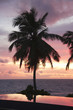 Photo: Swimming pool of the Banyan Tree Hotel with Palm Trees at Sunset, Anse Intendance, Mahe', Seychelles Swimming pool of the Banyan Tree Hotel with Palm Trees at Sunset, Anse Intendance, Mahe', Seychelles