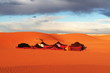 Sahara desert