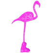 Flamant rose