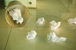 Waste paper scattered around a bin
