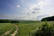 Foto: Spuren Spuren