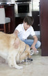 A young boy feeding his dog