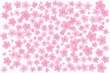 桜3