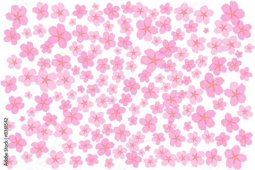 Illustration: 桜3 桜3