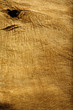 Bark