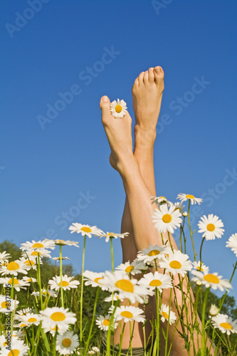 Foto: Spring legs Spring legs