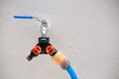 Garden Hose 1