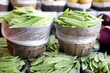 Baskets overflowing with fresh snap peas