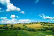 Paysage de campagne