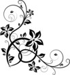 Floral abstraction
