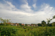 English Countryside English Countryside
