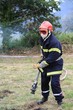 Feu de forêt