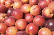 Peaches at the market