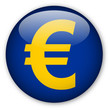 Euro Sign Button Euro Sign Button