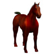 3D beautiful horse