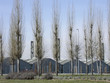 Fabbrica Benetton a Catena di Villorba - Veneto