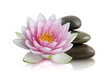 Fleur de lotus et galets zen