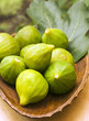 fig