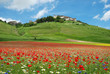 Castelluccio
