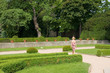 green park in the summer