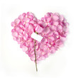Photo: Valentine blank note Valentine blank note