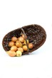 Zwiebeln einkaufen
