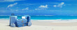 Tropical trip blue