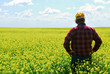 Farmer in Canola Crop