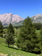 paysage été printemps