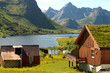 Photo: Lofoten's Farm Lofoten's Farm