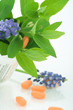 Photo: healthcare healthcare
