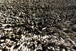 thatched roof closeup
