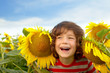 Kind mit Sonnenblumen