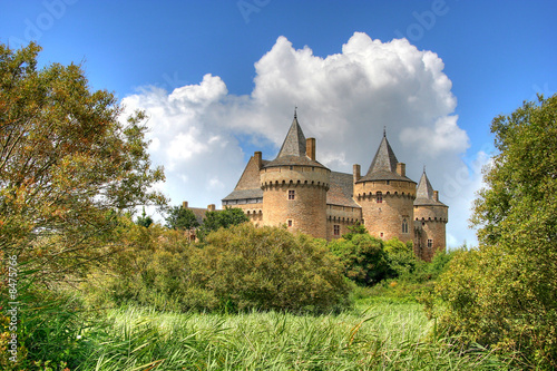 Chateau de Suscinio