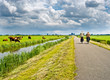 Bicyclists