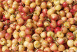 Cherries at the market