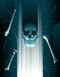 Stylized vector skull and bones xray or hologram
