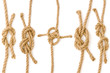 Four pieces of rope fastened in four different knots Four pieces of rope fastened in four different knots