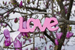 Love Tree Love Tree