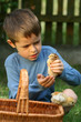 boy and chicken