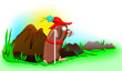 blind mole