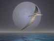 Illustration: Pteranodon Pteranodon