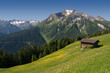 Alpine Scenery