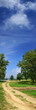 Panorama with road
