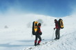 Winter sport