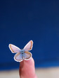 Butterfly on fingertip
