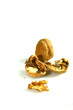 walnut isolated on a white background